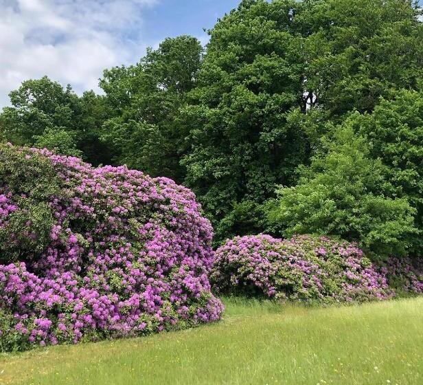 住宿加早餐 Chateau Du Gue Aux Biches
