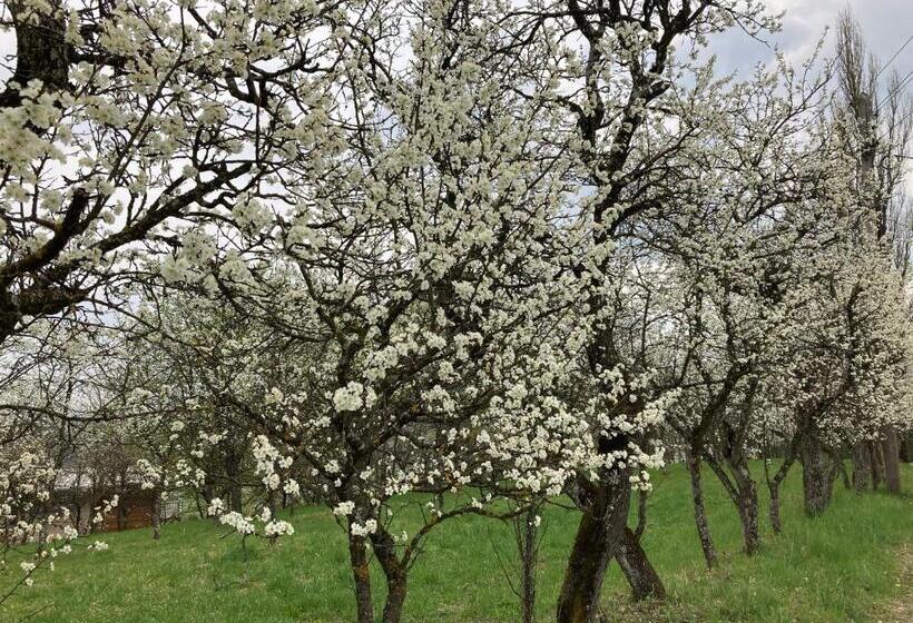 Bed and Breakfast Logis125 I Barbara Hofmann