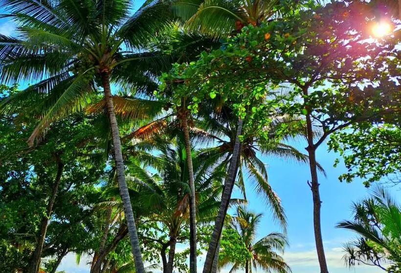 Aamiaismajoitus (B&B) Seadreams Mission Beach