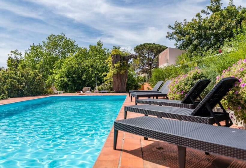 פנסיון Vip House Pool & Beach In Caparica