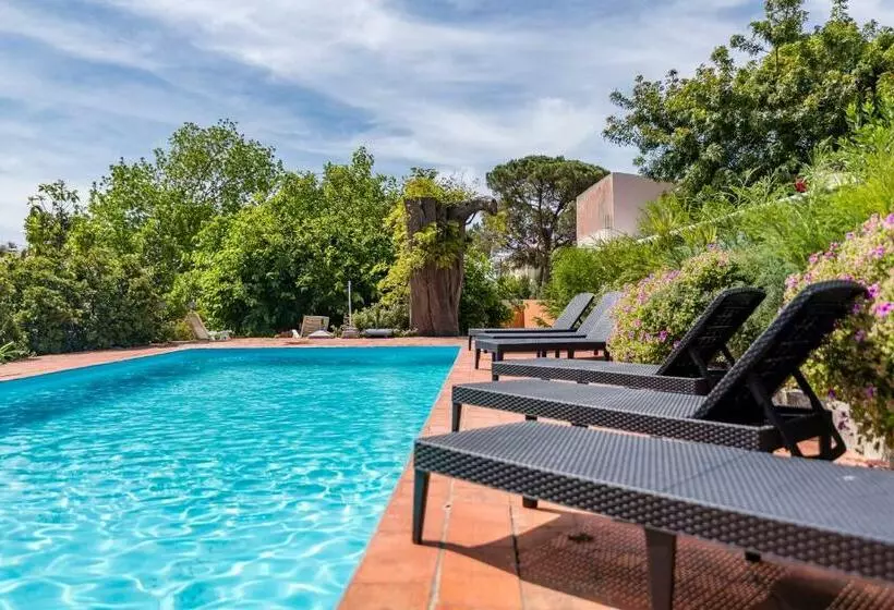 ペンション Vip House   Pool & Beach In Caparica