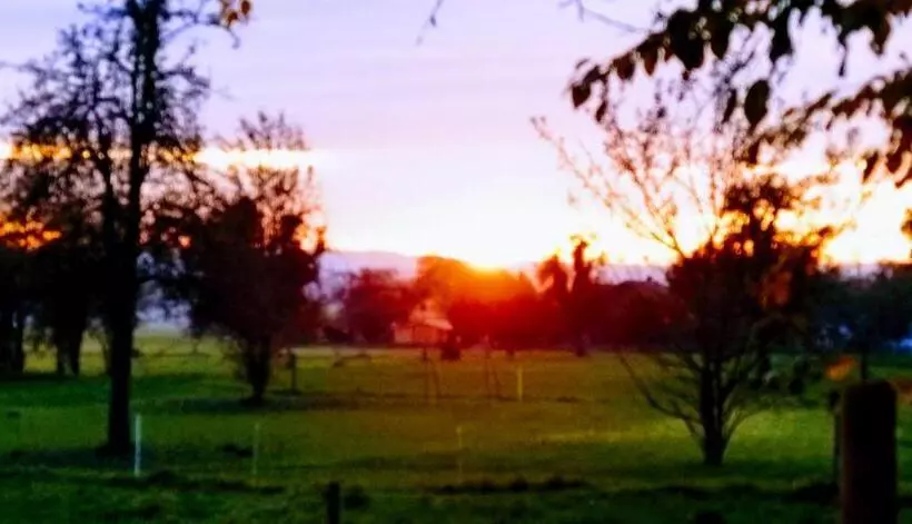 Seenswert   Vegane Pension Und Ferienwohnungen Am Ammersee