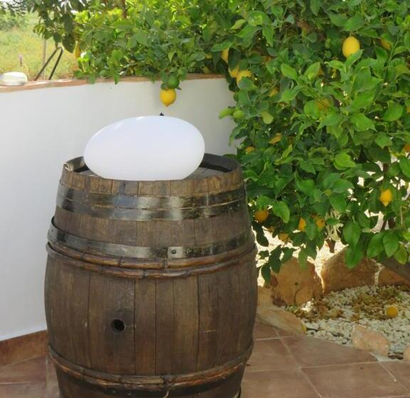 B&b Finca La Manchica