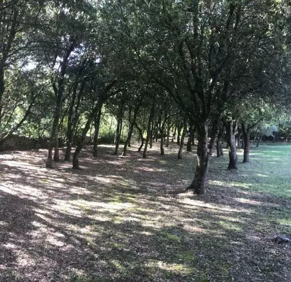 Aamiaismajoitus (B&B) Chambre D Hôte à La Maison Du Petit Bois 4 étoiles