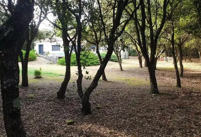 Aamiaismajoitus (B&B) Chambre D Hôte à La Maison Du Petit Bois 4 étoiles