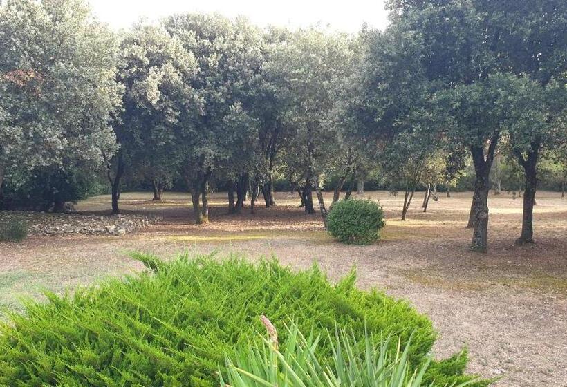 Bed and Breakfast Chambre D Hôte à La Maison Du Petit Bois 4 étoiles