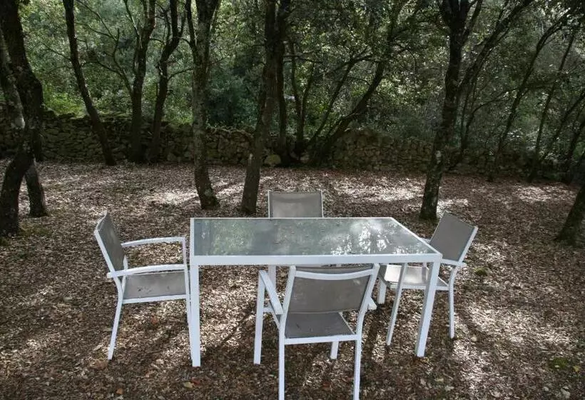 Aamiaismajoitus (B&B) Chambre D Hôte à La Maison Du Petit Bois 4 étoiles