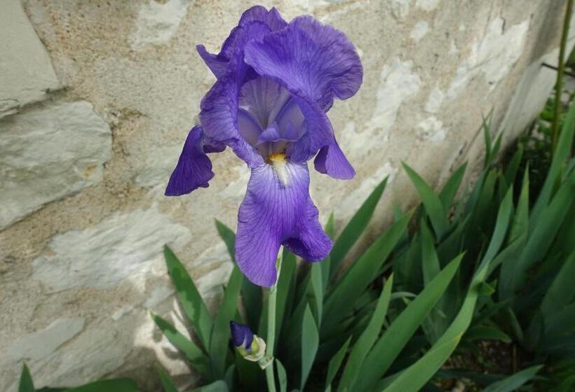 مبيت وإفطار Les épis De La Joie