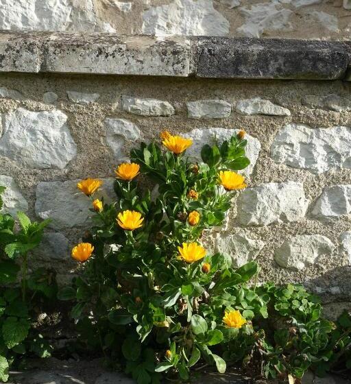 مبيت وإفطار Les épis De La Joie