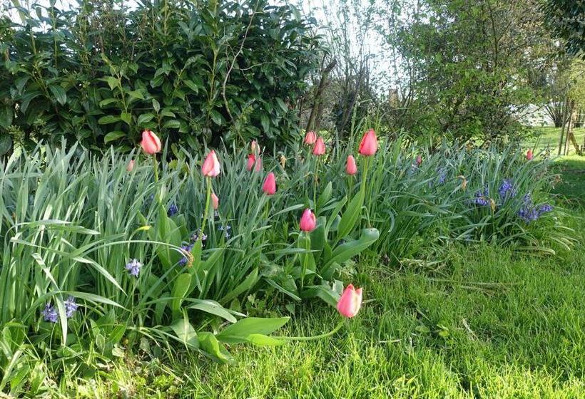 مبيت وإفطار Les épis De La Joie