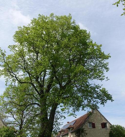 مبيت وإفطار Les épis De La Joie
