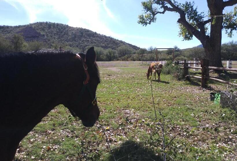 مبيت وإفطار Rancho Santa Cruz