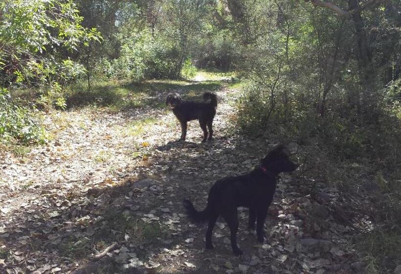 مبيت وإفطار Rancho Santa Cruz