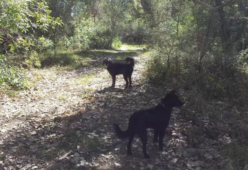 Aamiaismajoitus (B&B) Rancho Santa Cruz