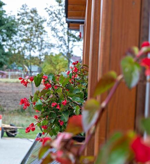 Отель Agroturystyka U Jarka