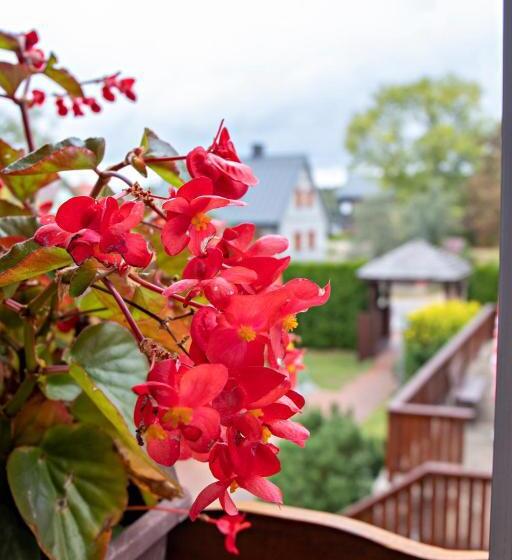 Отель Agroturystyka U Jarka