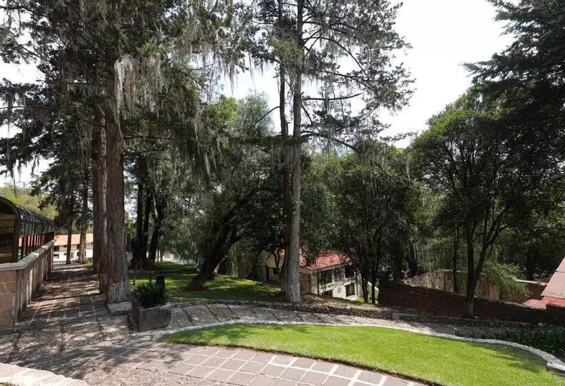 ホテル Hacienda San Miguel Regla