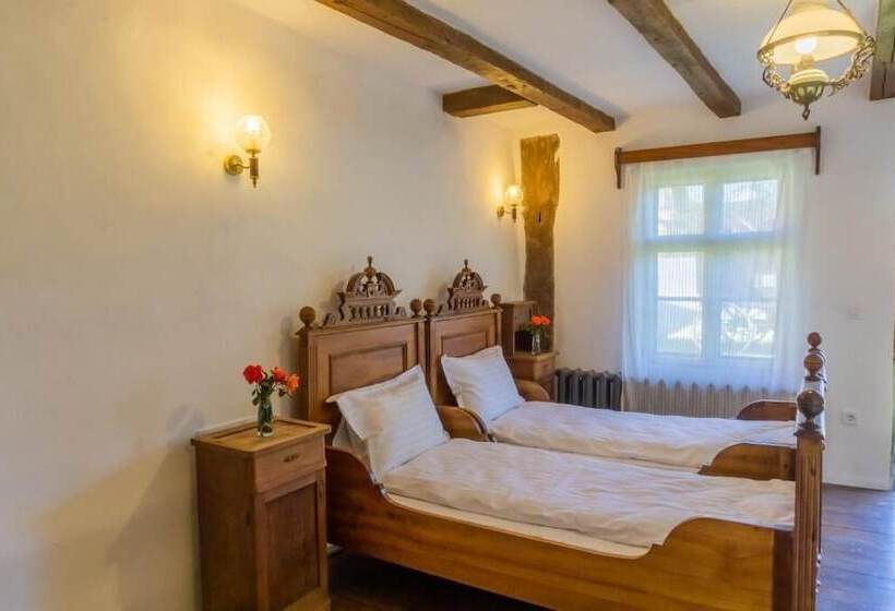 펜션 șura Din Seleuș   Seleuș Barn   Idyllic Countryside M Museum House