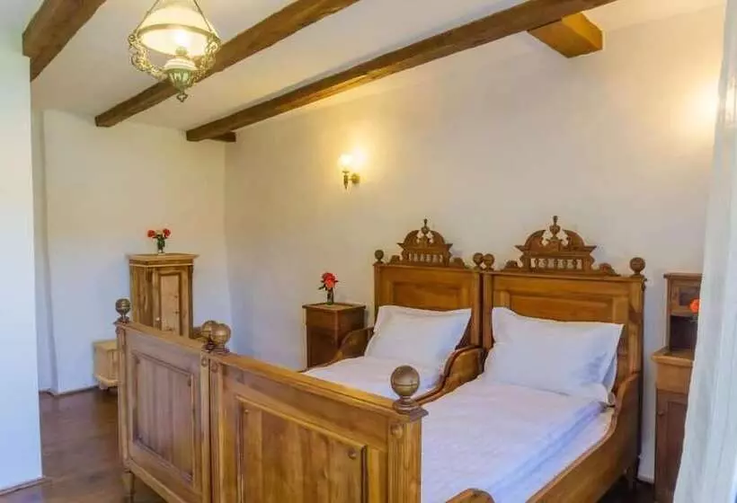 Majatalo șura Din Seleuș   Seleuș Barn   Idyllic Countryside M Museum House