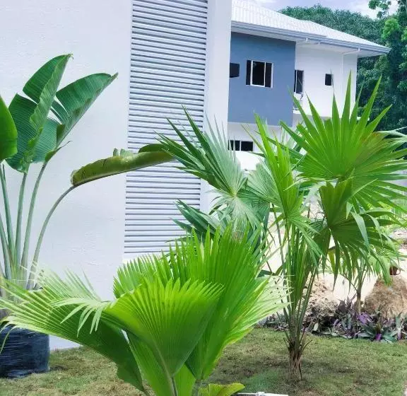 ユースホステル 1949 Dreamy Home