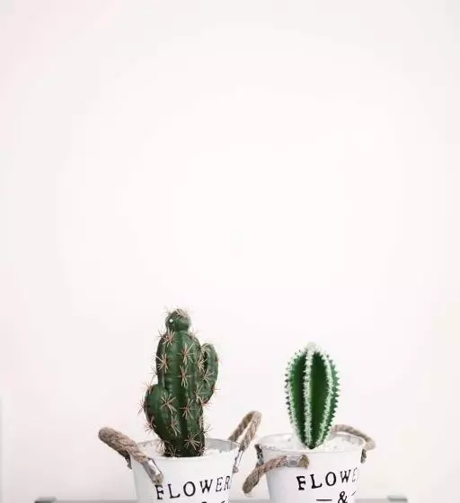 ユースホステル 1949 Dreamy Home