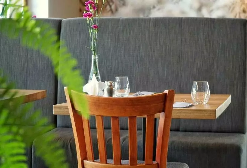 ユースホステル Dwór świętoszówka