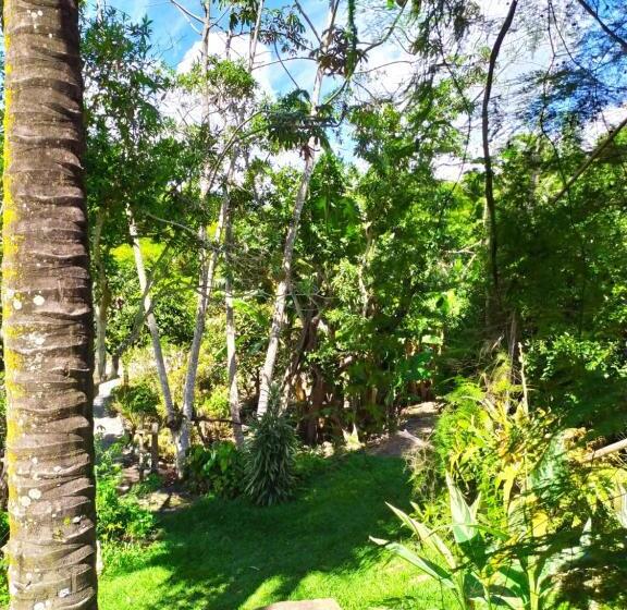 호스텔 Pousada Paineira