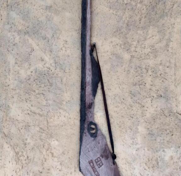 호스텔 Pousada Paineira