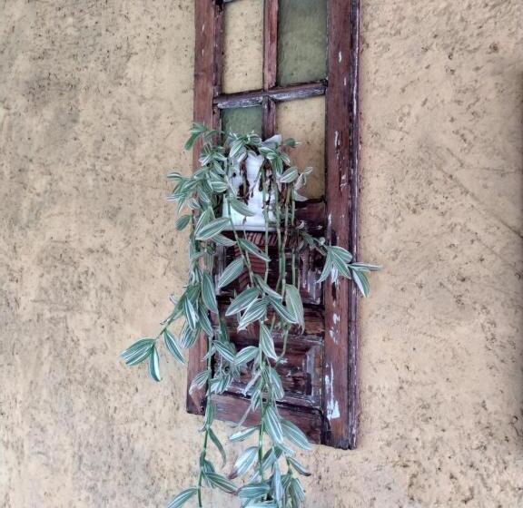 호스텔 Pousada Paineira