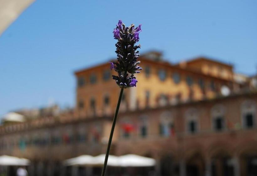 مبيت وإفطار A Casa Di Lola