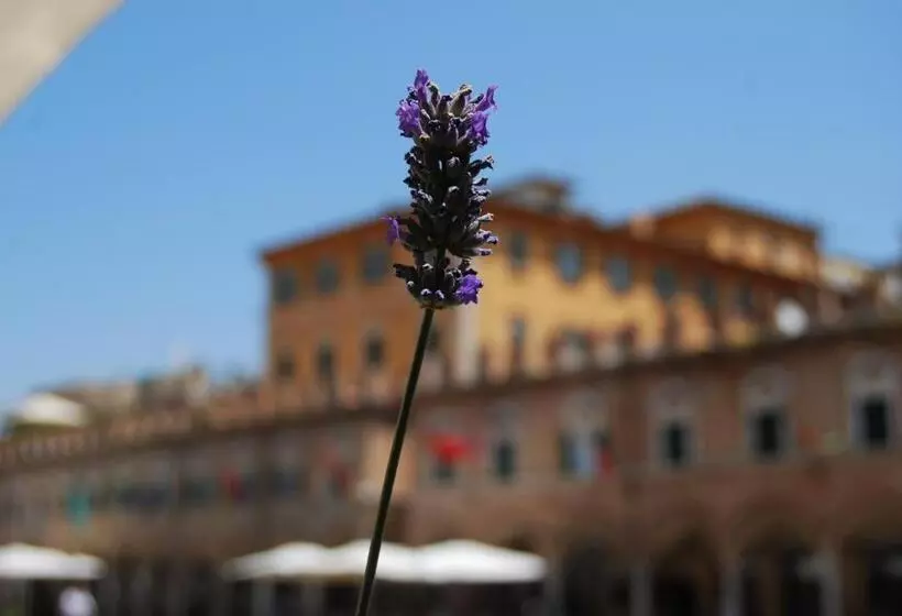 تختخواب و صبحانه A Casa Di Lola