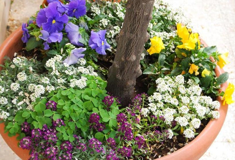 مبيت وإفطار A Casa Di Lola