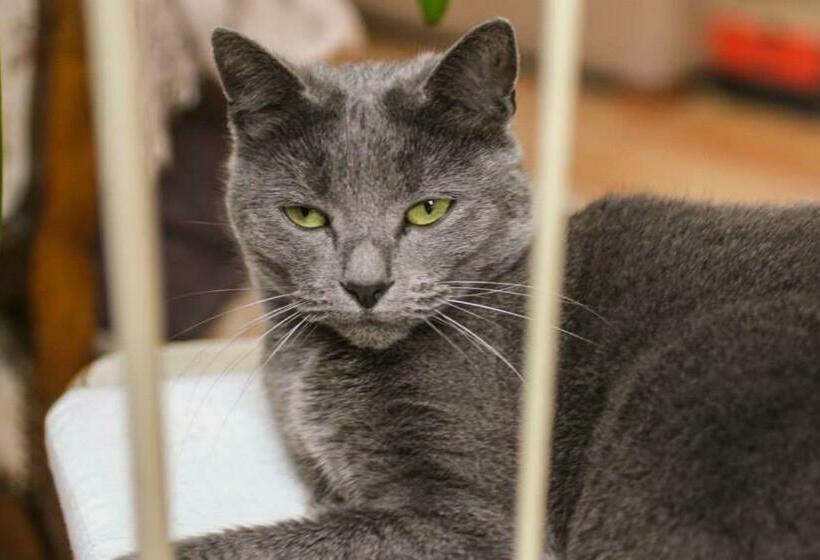 住宿加早餐 Chambres D Hôtes Le Peyroux