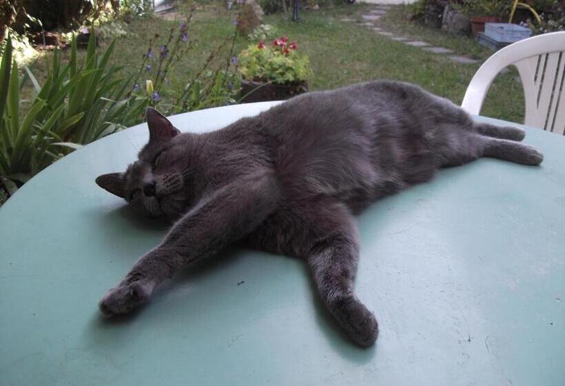 住宿加早餐 Chambres D Hôtes Le Peyroux