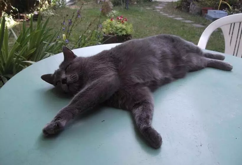 Aamiaismajoitus (B&B) Chambres D Hôtes Le Peyroux