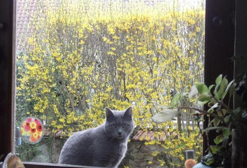 住宿加早餐 Chambres D Hôtes Le Peyroux