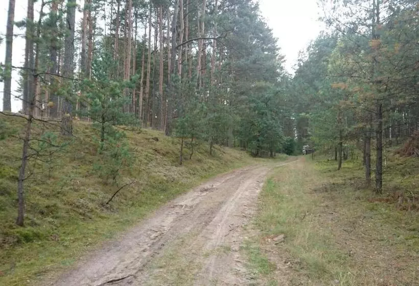 Aamiaismajoitus (B&B) Fitnessfun