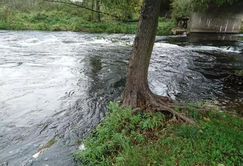 Aamiaismajoitus (B&B) Fitnessfun