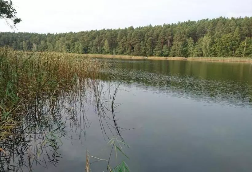 Aamiaismajoitus (B&B) Fitnessfun