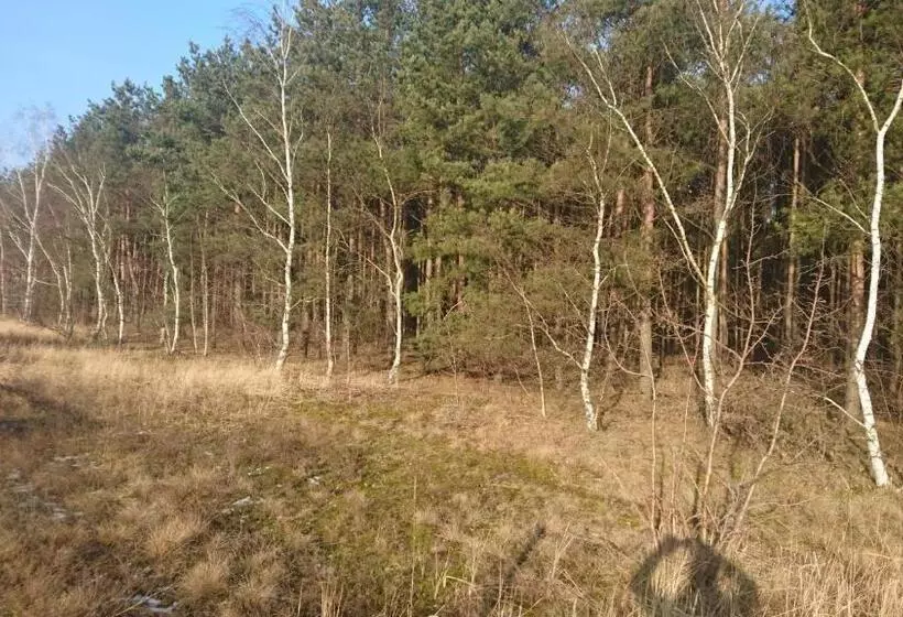 Aamiaismajoitus (B&B) Fitnessfun