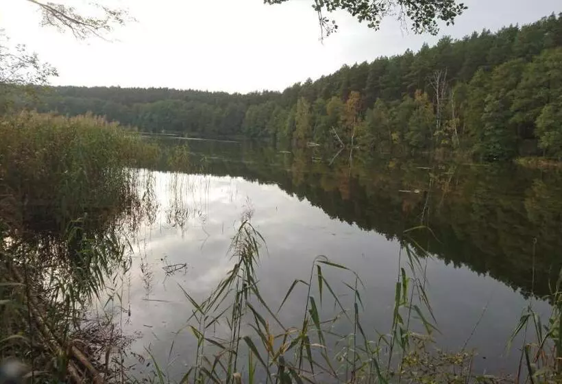 Aamiaismajoitus (B&B) Fitnessfun