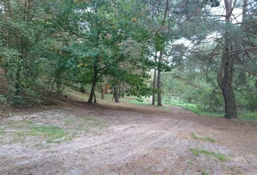 Aamiaismajoitus (B&B) Fitnessfun