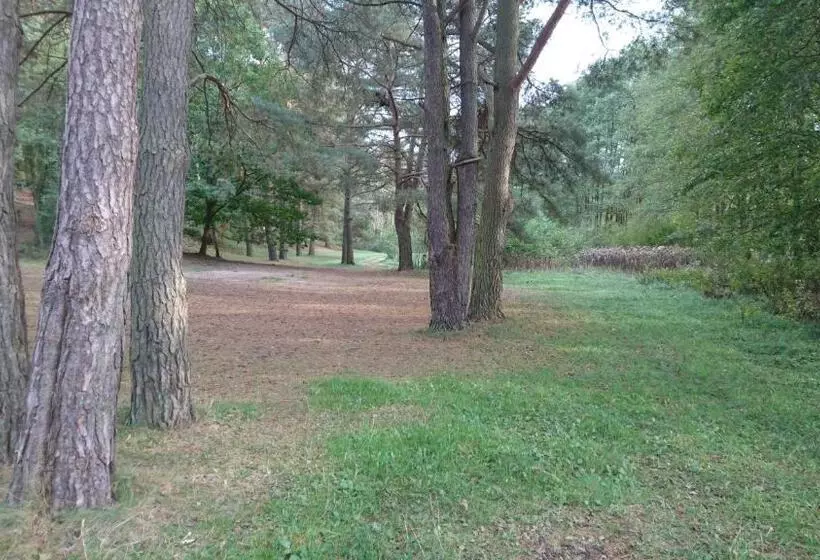 Aamiaismajoitus (B&B) Fitnessfun