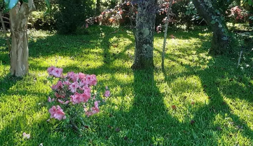 Aamiaismajoitus (B&B) Quinta D Avó Amélia