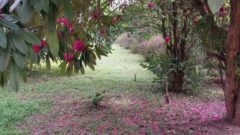 Aamiaismajoitus (B&B) Quinta D Avó Amélia