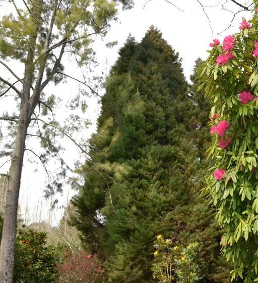 Bed and Breakfast Quinta D Avó Amélia