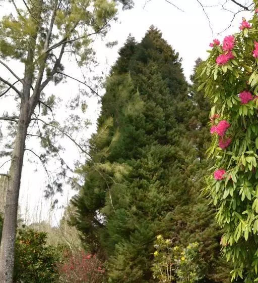 Aamiaismajoitus (B&B) Quinta D Avó Amélia