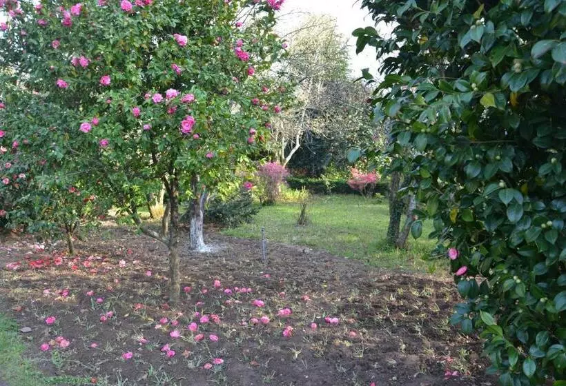 Aamiaismajoitus (B&B) Quinta D Avó Amélia