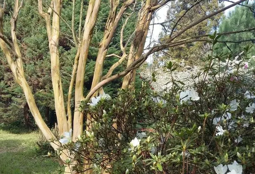 Aamiaismajoitus (B&B) Quinta D Avó Amélia