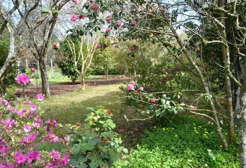 Aamiaismajoitus (B&B) Quinta D Avó Amélia